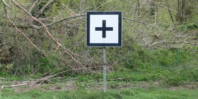 Откройте мир с Яндекс Плюс!