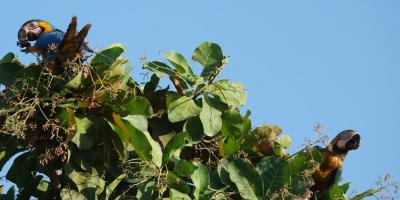 Отзывы о работе Яндекс Плюс