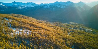 Как отказаться от подписки Яндекс Плюс